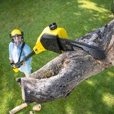  , USA Tree Care Services Pros